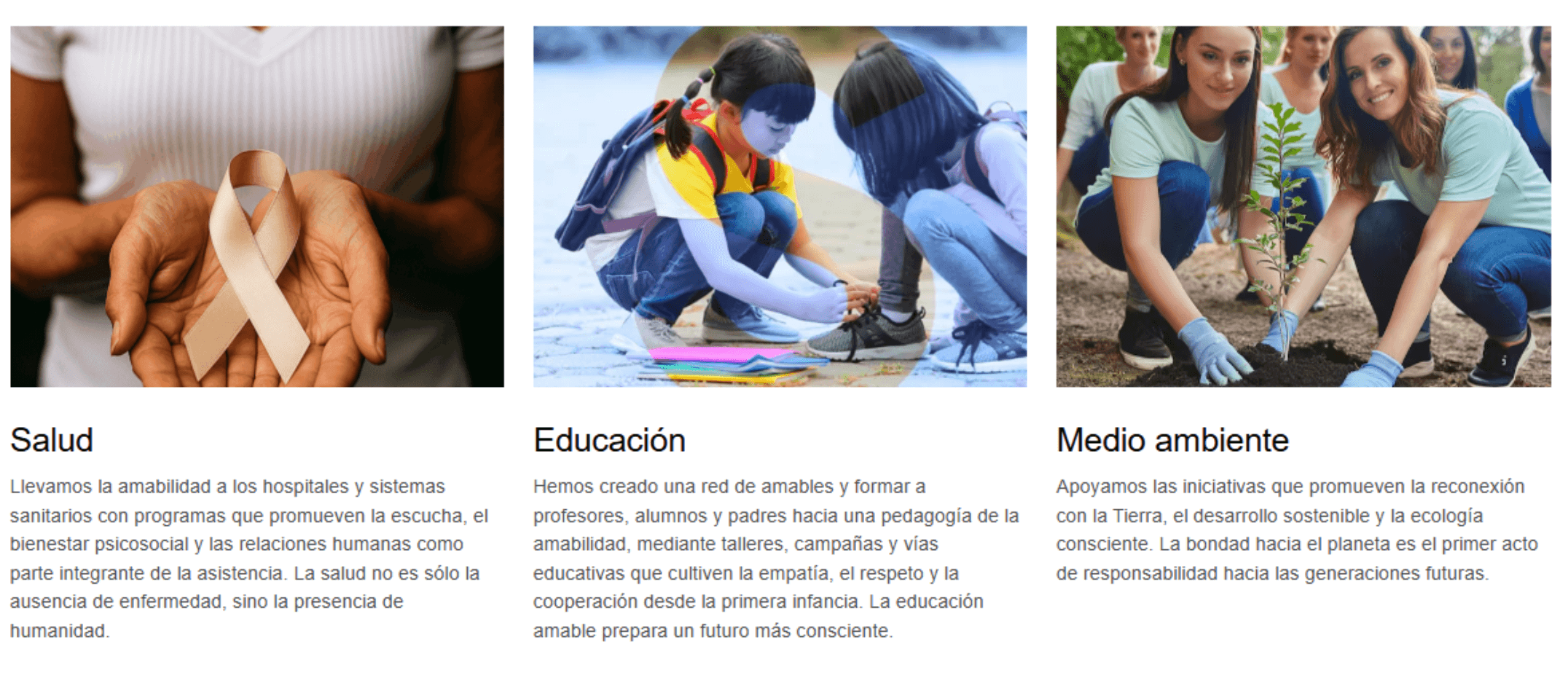 Áreas de impacto: Salud, Educación y Medio Ambiente